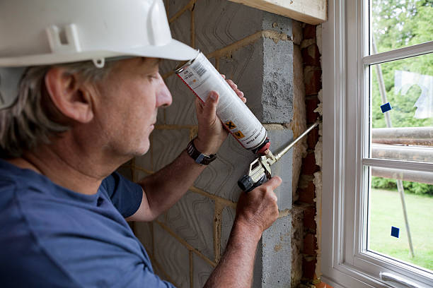 Best Geographic-Specific Insulation Services in James Island, SC