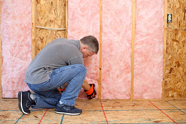 Best Specialized Insulation Services in James Island, SC
